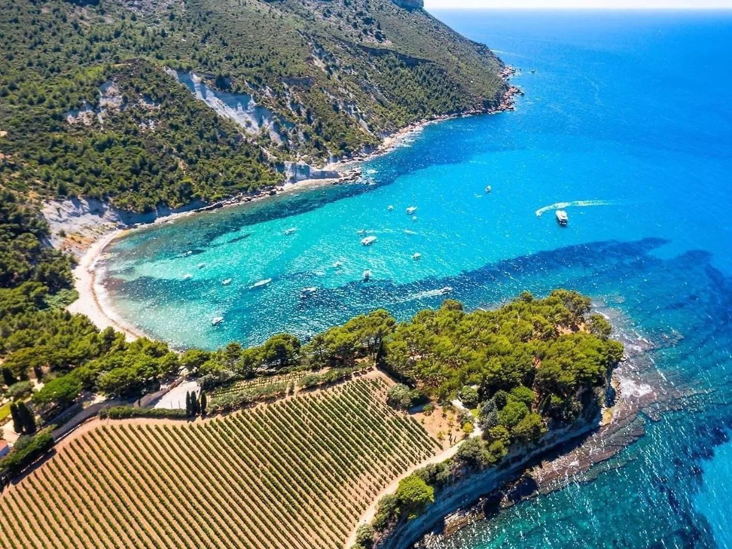 Apartment La Falaise Paradis Vue Mer 180° Cassis France